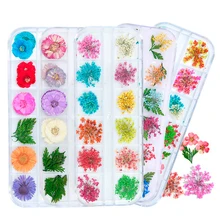 Сухоцветы лист ногтей украшения натуральный наклейка в виде цветка 3D сухой для маникюра ногтей наклейки ювелирные изделия УФ Гель-лак Мани...(China)