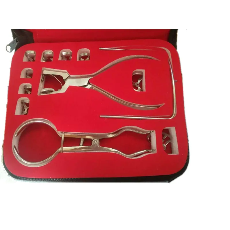 Teeth Care Dental dam perforator Dental Dam Hole Puncher Dental Rubber Dam puncher Set
Teeth Care Dental dam perforator Dental Dam Hole Puncher Dental Rubber Dam puncher Set