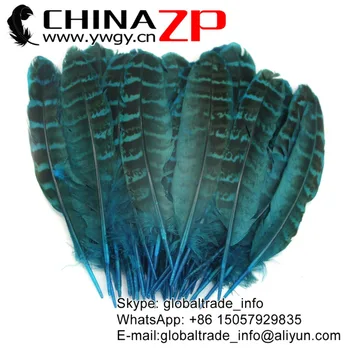 CHINAZP Factory 100pcs/lot Best Quality Dyed Turquoise Natural Ringneck Pheasant Hen Quill Wing Feathers
CHINAZP Factory 100pcs/lot Best Quality Dyed Turquoise Natural Ringneck Pheasant Hen Quill Wing Feathers