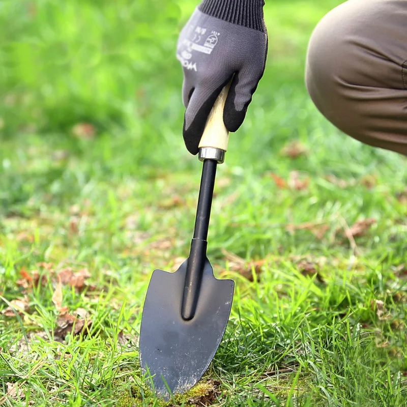 Portable Flower Spade Garden Tools Loosen Soil Shovel Household Scoop Outdoor Hiking Camping Forklift Free Shiping
Portable Flower Spade Garden Tools Loosen Soil Shovel Household Scoop Outdoor Hiking Camping Forklift Free Shiping