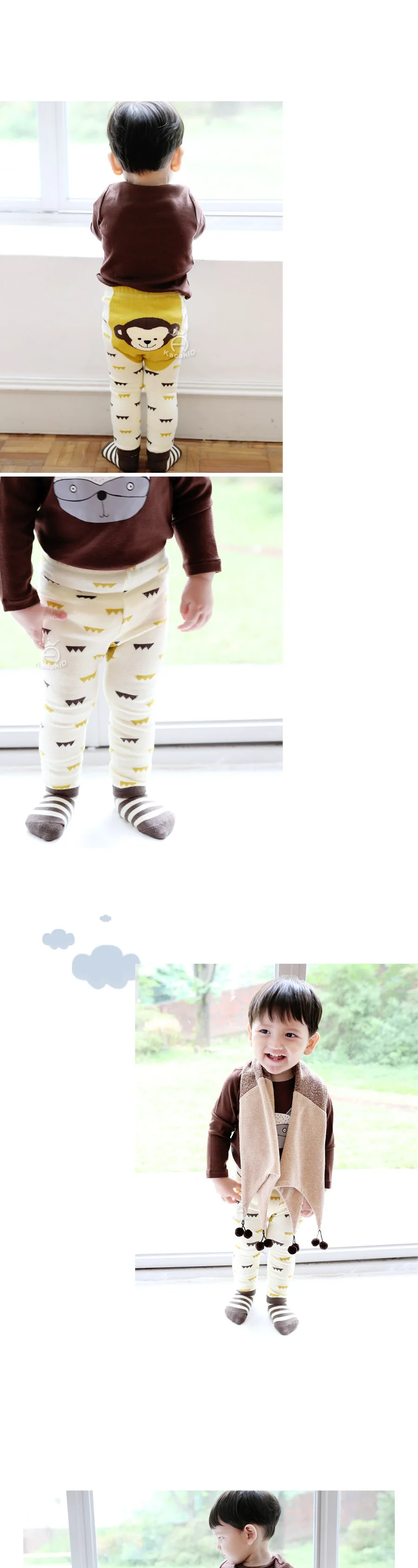 AeProduct.getSubject ()