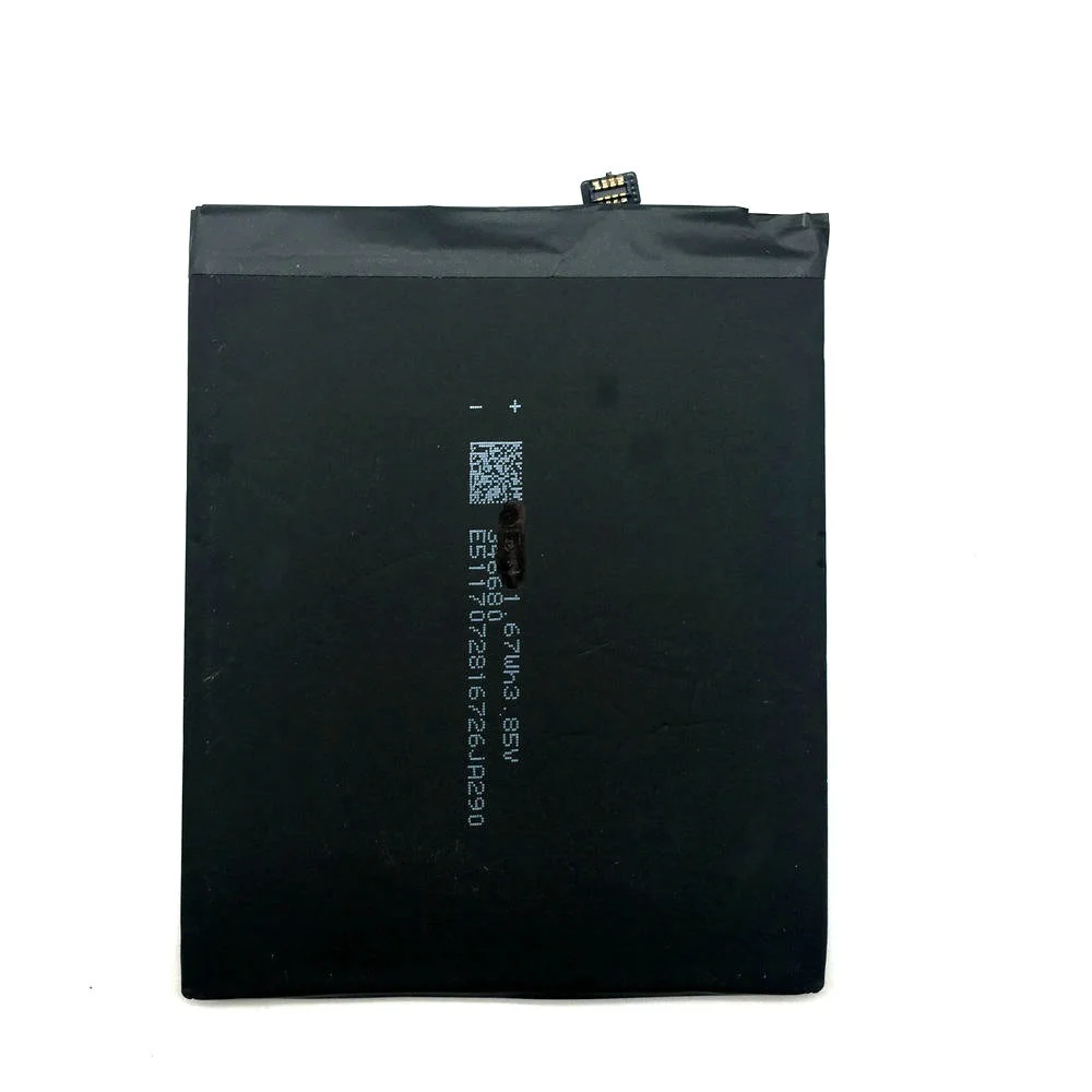 BN31 (3)
