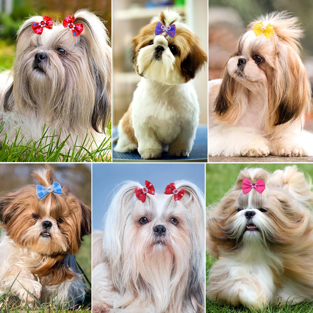 20pcs-lot-Cute-Puppy-Dog-Hair-Bows-Handmade-Designer-Pet-Cat-Grooming-Accessories-Point-Paw-Bows