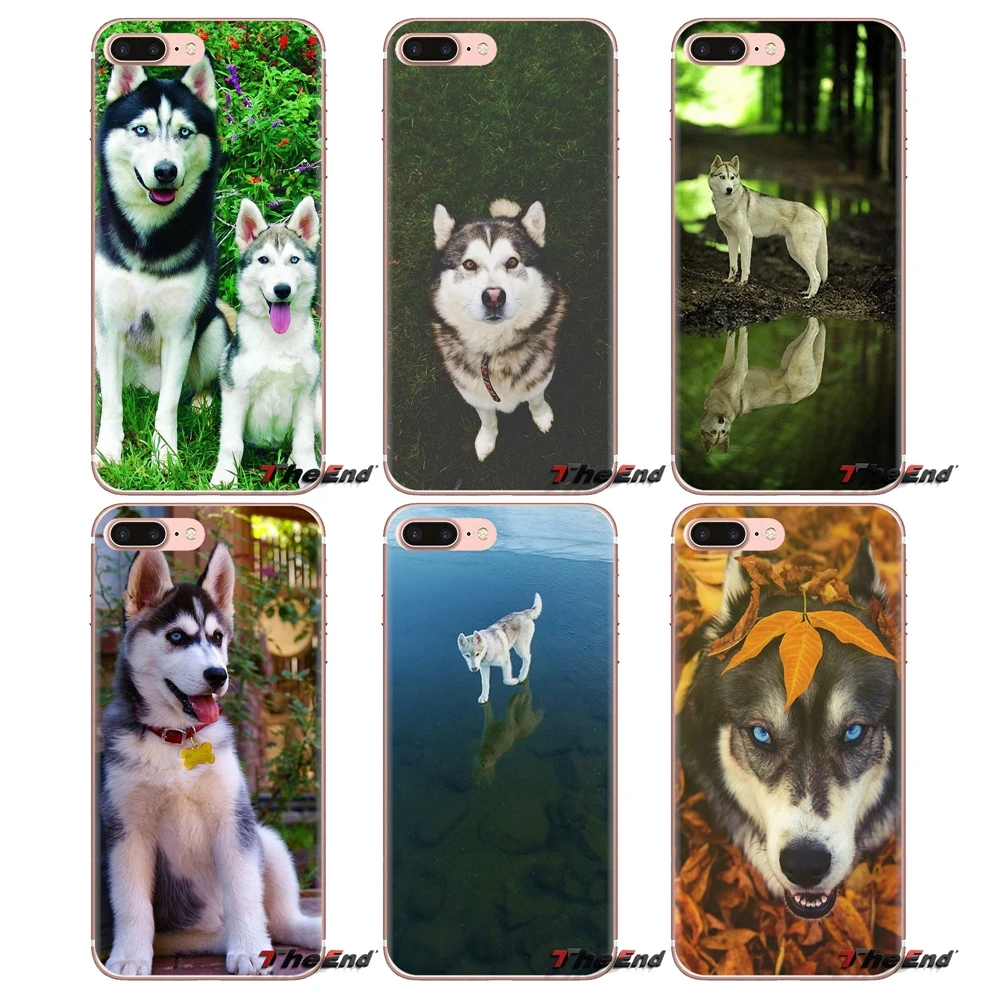 Soft Transparent Cases For Huawei Mate Honor 4C 5C 5X 6X 7 7A 7C 8 9 10 8C 8X 20 Lite Pro Siberian Husky Dog puppies Art Pattern
Soft Transparent Cases For Huawei Mate Honor 4C 5C 5X 6X 7 7A 7C 8 9 10 8C 8X 20 Lite Pro Siberian Husky Dog puppies Art Pattern