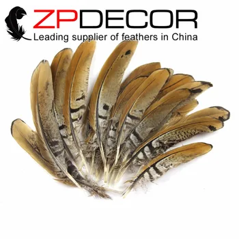 ZPDECOR 50 pieces/lot 15-20cm(6-8inch) Rare and Precious Natural Reeves Venery Pheasant Quill Wing Feathers for Wedding Decor
ZPDECOR 50 pieces/lot 15-20cm(6-8inch) Rare and Precious Natural Reeves Venery Pheasant Quill Wing Feathers for Wedding Decor