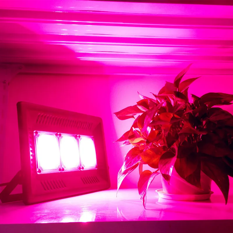 LED Grow Plant Floodlight COB full spectrum IP65 Waterproof 150W 110V 220V Indoor Hydroponic Systems Plant Growth US/EU Plug
LED Grow Plant Floodlight COB full spectrum IP65 Waterproof 150W 110V 220V Indoor Hydroponic Systems Plant Growth US/EU Plug