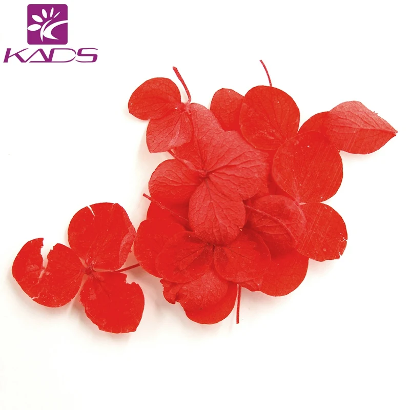 KADS 30pcs/bag 6 Color Choice Hydrangea Flower Nail Art Decoration Manicure Tools Multi-color Decor Accessory
KADS 30pcs/bag 6 Color Choice Hydrangea Flower Nail Art Decoration Manicure Tools Multi-color Decor Accessory