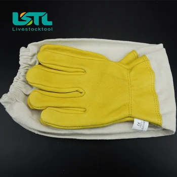 Protective Beekeeping Gloves Goatskin Bee Keeping with Vented Long Sleeves Yellow M L Sheepskin Ventilation Fabric Free Shipping
Protective Beekeeping Gloves Goatskin Bee Keeping with Vented Long Sleeves Yellow M L Sheepskin Ventilation Fabric Free Shipping