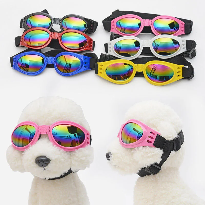 pet goggles