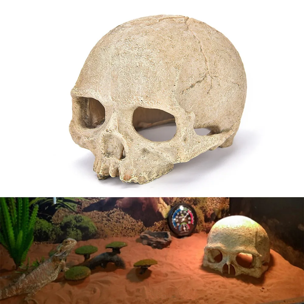 Fish Tank Aquarium Ornament Terrarium Decorations Resin Skull Human Skeleton fish tank decoration
Fish Tank Aquarium Ornament Terrarium Decorations Resin Skull Human Skeleton fish tank decoration