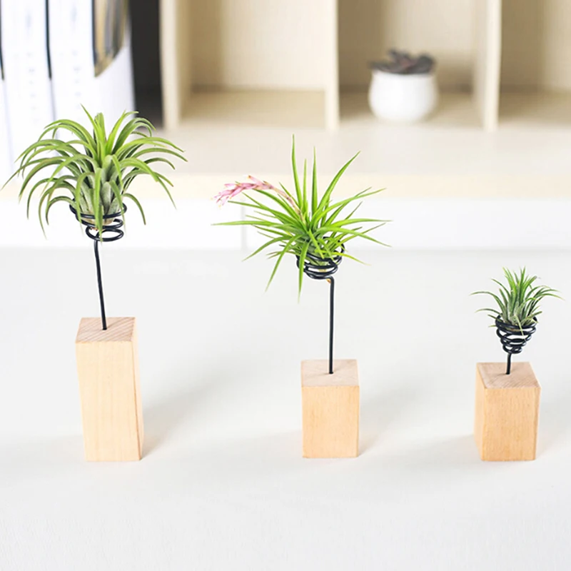 6cm / 8cm / 10cm Air Plant Tillandsia bonsai Pot Metal Cup-shaped Spring Stand Holder Table Desk Display Home Garden Decoration
6cm / 8cm / 10cm Air Plant Tillandsia bonsai Pot Metal Cup-shaped Spring Stand Holder Table Desk Display Home Garden Decoration
