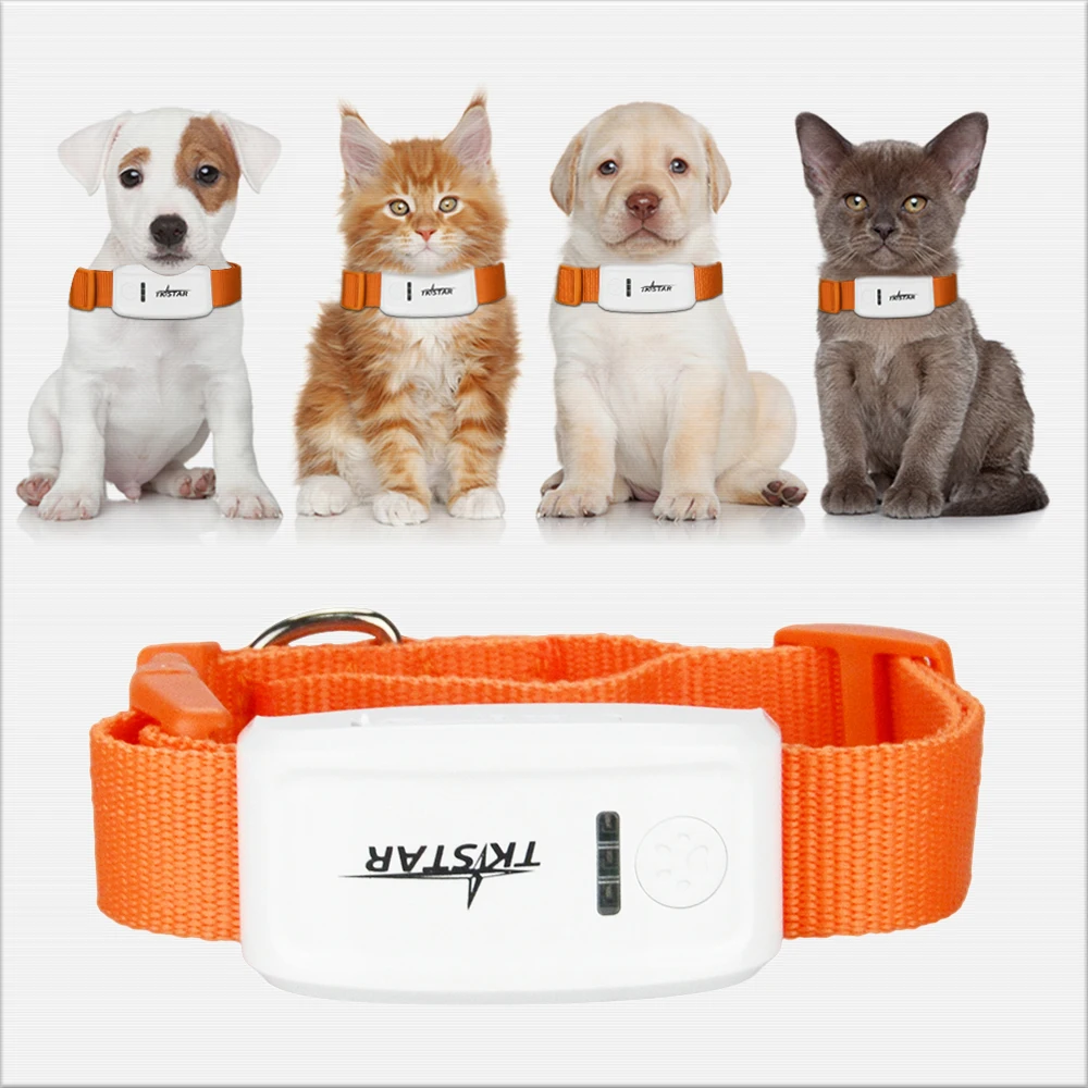 10pcs Mini TK Star TK909 GPS Tracker Can Insert Collar for Pets Cat Cow Dog Monitor Tracking with Free Platform
10pcs Mini TK Star TK909 GPS Tracker Can Insert Collar for Pets Cat Cow Dog Monitor Tracking with Free Platform