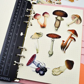 25pcs Hand Drawing Colorful Mushroom sticker dry glue Notebook Planner Scrapbooking, DIY Paper Sticker
25pcs Hand Drawing Colorful Mushroom sticker dry glue Notebook Planner Scrapbooking, DIY Paper Sticker