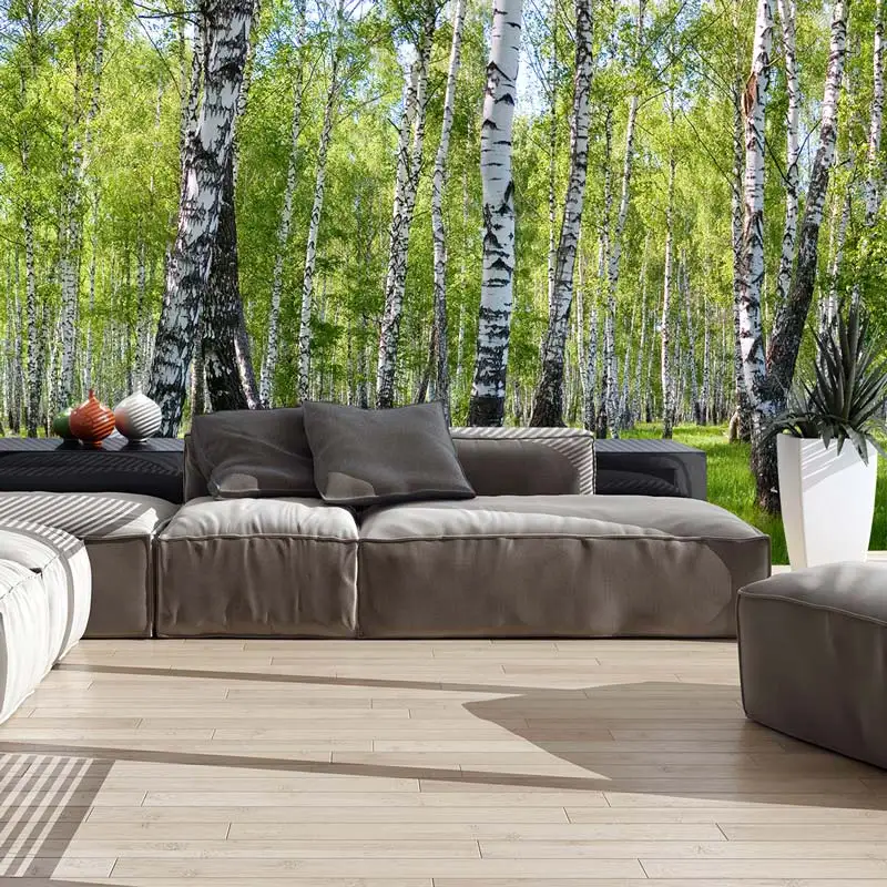 Birch Tree Forest Landscape Photo Wallpaper Mural Living Room Bedroom TV Sofa Wall Papers 3D Self Adhesive Vinyl/Silk Wallpaper
Birch Tree Forest Landscape Photo Wallpaper Mural Living Room Bedroom TV Sofa Wall Papers 3D Self Adhesive Vinyl/Silk Wallpaper