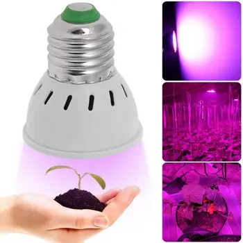36/54/72LED Grow Light E27 Mini Plant Growth Lamp for Flowering Plant Leaf Growing and Hydroponics System Flowers Grow Lamps
36/54/72LED Grow Light E27 Mini Plant Growth Lamp for Flowering Plant Leaf Growing and Hydroponics System Flowers Grow Lamps