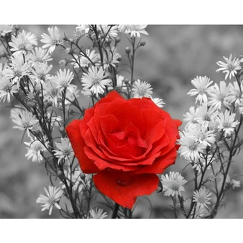 GLymg DIY Manual Craft Painting 5D Diamond Embroidery Craft Painting Mosaic Gift Small Red Flower Diamond Wall Arts Decor
GLymg DIY Manual Craft Painting 5D Diamond Embroidery Craft Painting Mosaic Gift Small Red Flower Diamond Wall Arts Decor