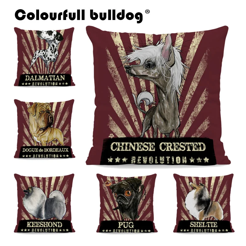 Cute Dog Throw Pillowcase Bulldog Chinese Crested Corige Greyhound Cushion Covers Poodle Pug Shar Pei Velvet Home Couch Decorate
Cute Dog Throw Pillowcase Bulldog Chinese Crested Corige Greyhound Cushion Covers Poodle Pug Shar Pei Velvet Home Couch Decorate
