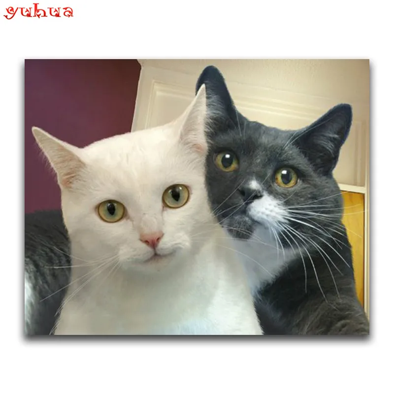 Full Square Diamond embroidery dierlijk 5D DIY Diamond painting Cross stitch Animal colorful Cats Round Diamond mosaic paintings_
