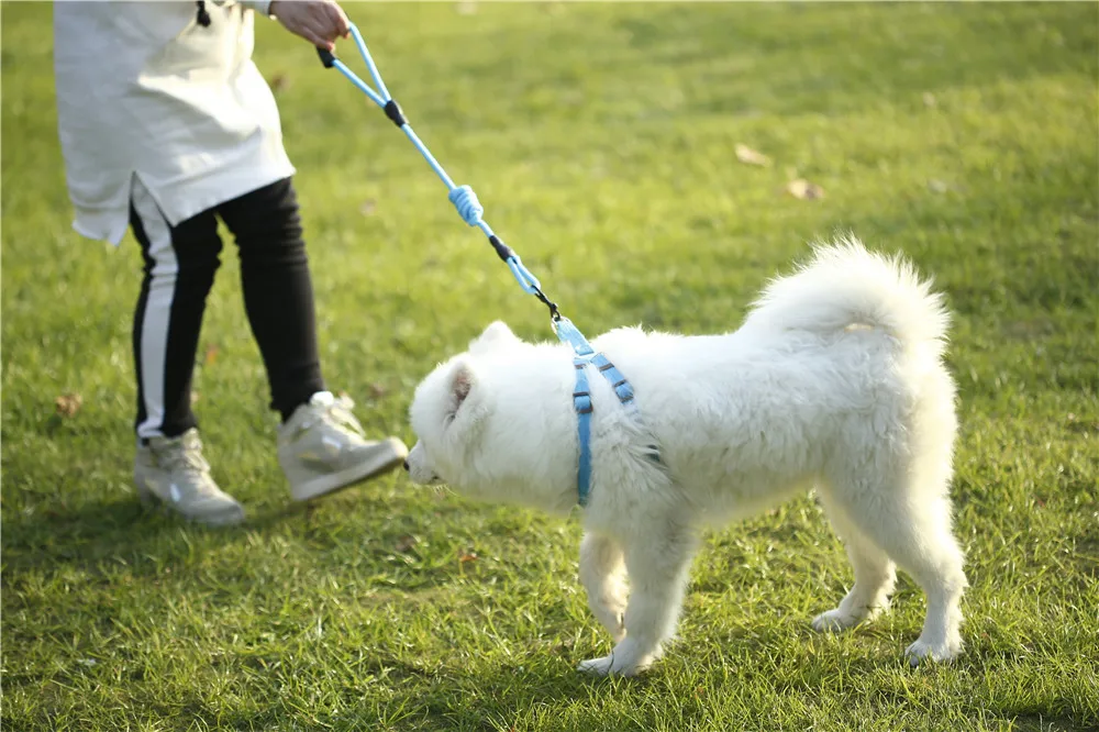  DADUGO Dog Collar set for Small Puppy Pet Dog Collars Adjustable Buckle Leash Dog-Collar Harness Chihuahua SMLXL Size (4)