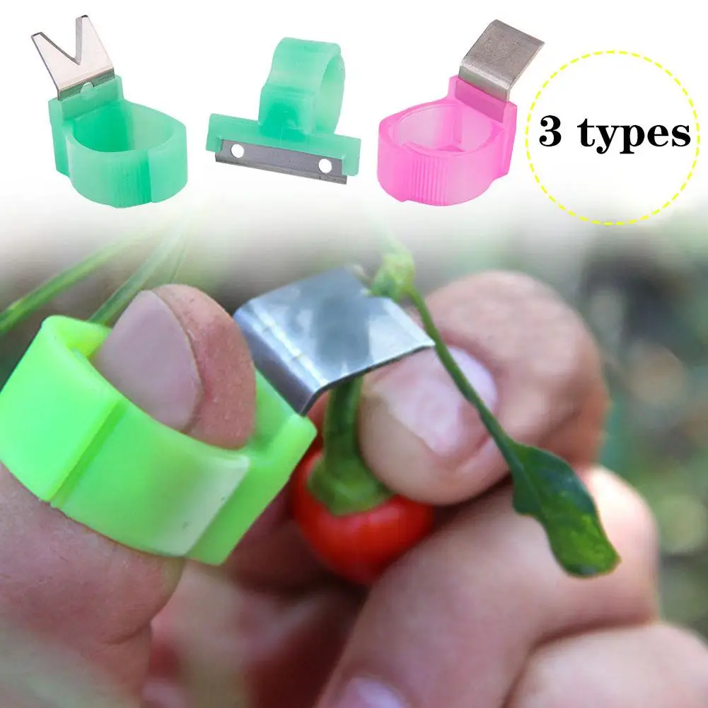 Tomato Cucumber Grape Fruit Picking Garden Tools Blade Cutting Scissors Finger Rings Knife Garden Fruit & Vegetabl Picking Tools
Tomato Cucumber Grape Fruit Picking Garden Tools Blade Cutting Scissors Finger Rings Knife Garden Fruit & Vegetabl Picking Tools