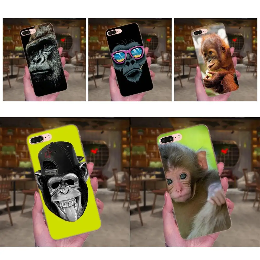 

Soft New Arrival Monkey Gorilla Ape Baby Colourful Style For Apple iPhone X XS Max XR 4 4S 5 5C 5S SE 6 6S 7 8 Plus