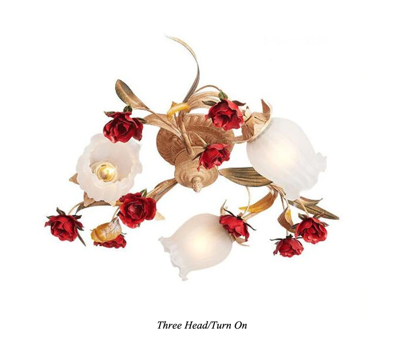 Wedding ceiling light (20)