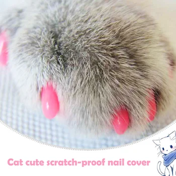 20PCS Cat Nail Cover With Free Glue And Applictor Silicone Soft Cat Nail Caps Cat Paw Claw Pet Nail Protector Pet Supplies 
20PCS Cat Nail Cover With Free Glue And Applictor Silicone Soft Cat Nail Caps Cat Paw Claw Pet Nail Protector Pet Supplies