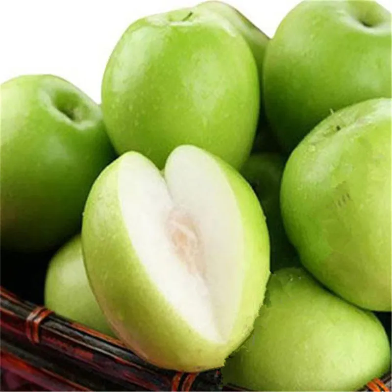 10 Pcs Jujube Bonsai Chinese Taiwan Big Jujube Bonsai Fruit Tree Bonsai Rare Tropical Fruit Bonsai DIY Home Garden Potted plant
10 Pcs Jujube Bonsai Chinese Taiwan Big Jujube Bonsai Fruit Tree Bonsai Rare Tropical Fruit Bonsai DIY Home Garden Potted plant