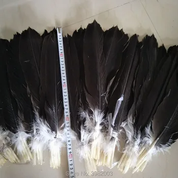 12 pc Rare Hawk Tail Feather Length 16-18 inch/40-45cm Set Hawktail Tail Feather DIY Jewelry Decoration
12 pc Rare Hawk Tail Feather Length 16-18 inch/40-45cm Set Hawktail Tail Feather DIY Jewelry Decoration