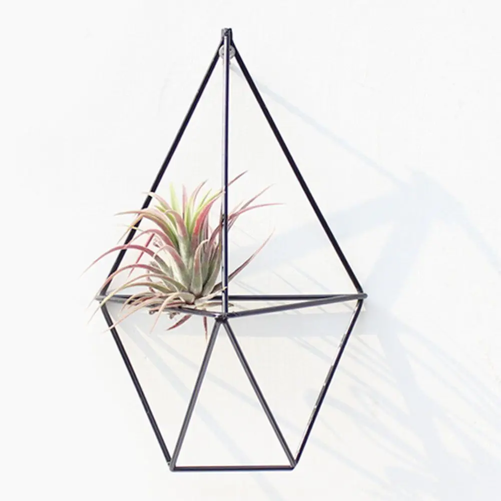 New Wall Mounted Air Plants Holder Irregular Geometric Metal Hanging Rack for Branch Eave Ceiling SF66
New Wall Mounted Air Plants Holder Irregular Geometric Metal Hanging Rack for Branch Eave Ceiling SF66