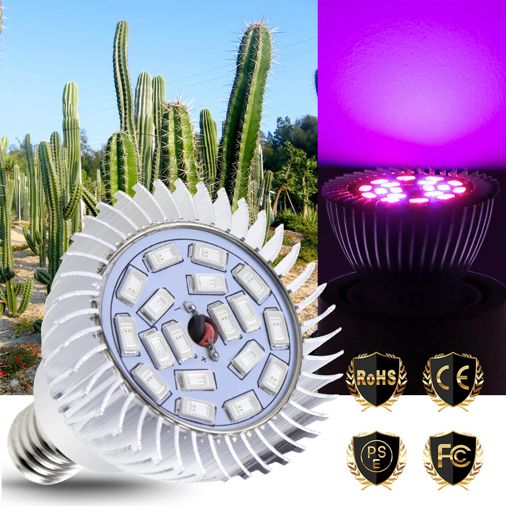 Plant Led Grow Light E27 Led Growing Lamp 20W Full Spectrum E14 Led Bulbs Seedling Lighting Flowers Greenhouse Plants phytolamp
Plant Led Grow Light E27 Led Growing Lamp 20W Full Spectrum E14 Led Bulbs Seedling Lighting Flowers Greenhouse Plants phytolamp
