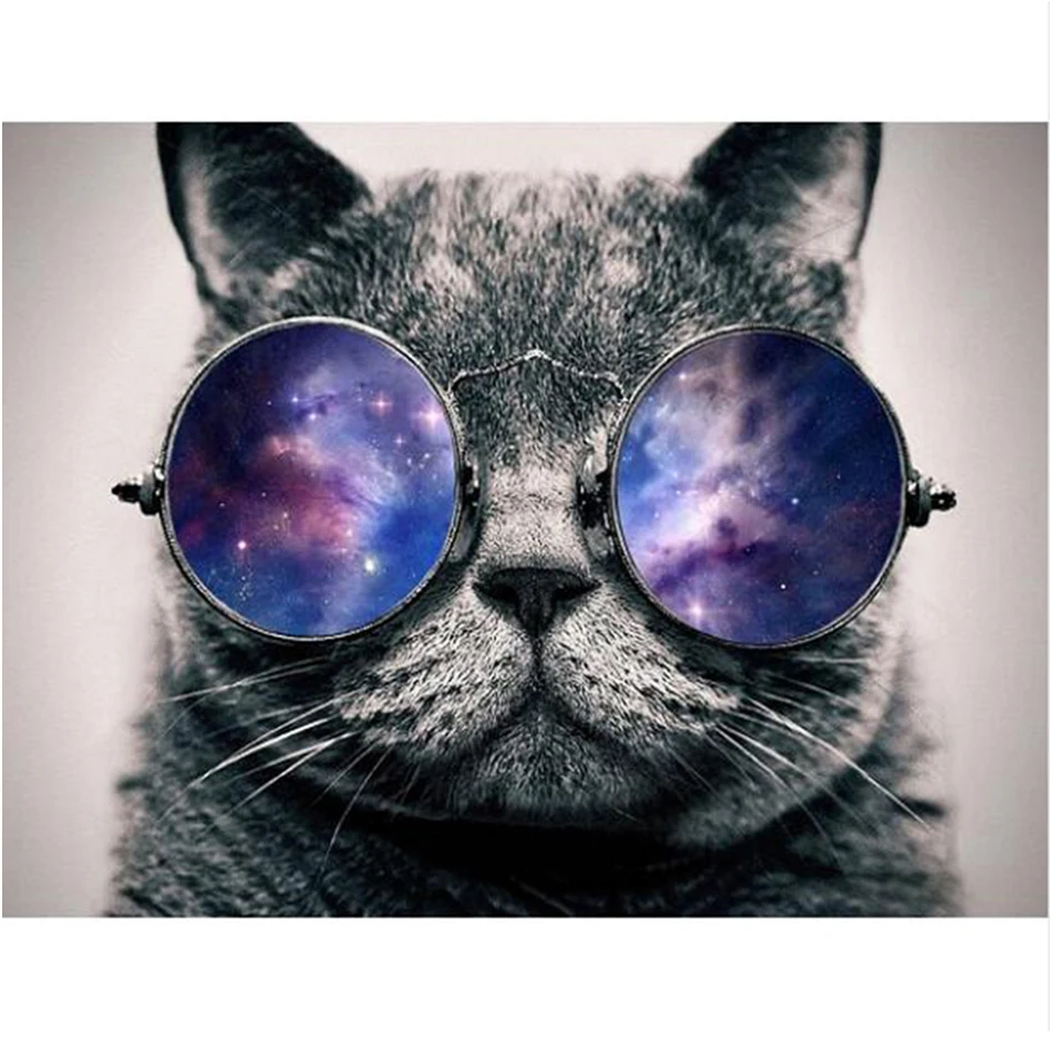 WEEN DIY Painting By Numbers kits,Canvas Painitng Home Wall Art,Picture Coloring Paint By Numbers 40x50cm-Cat and sunglasses
WEEN DIY Painting By Numbers kits,Canvas Painitng Home Wall Art,Picture Coloring Paint By Numbers 40x50cm-Cat and sunglasses