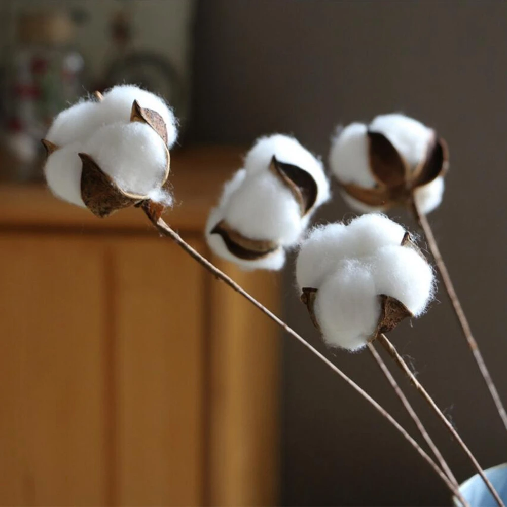 1pcs artificial flower natural cotton bouquet country style wedding Christmas decoration DIY home furnishings single cotton head
1pcs artificial flower natural cotton bouquet country style wedding Christmas decoration DIY home furnishings single cotton head