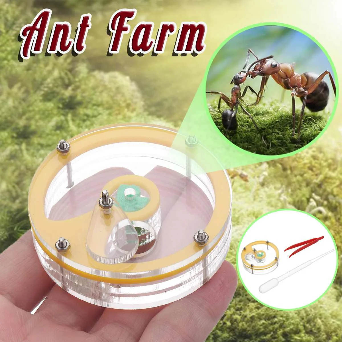 Plastic Round Ant Farm Formicarium Insect Nest Maze 3D Nursery Novelty Habitat Feeding System With Feeding Area
Plastic Round Ant Farm Formicarium Insect Nest Maze 3D Nursery Novelty Habitat Feeding System With Feeding Area