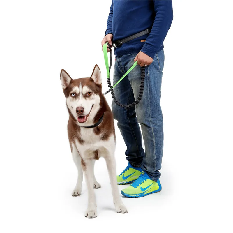 Clearance Sale Nylon Reflective Dog Leash With Waist Belt Hands Free Adjustable Pet Dog Leash Night Outdoor Training Products
Clearance Sale Nylon Reflective Dog Leash With Waist Belt Hands Free Adjustable Pet Dog Leash Night Outdoor Training Products