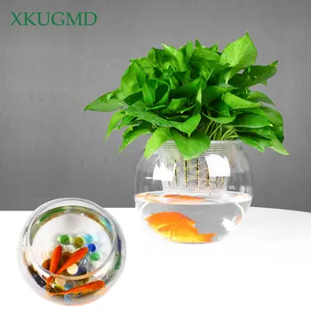 Home Decor Transparent Glass Vase Flower Pot Automatic Water Absorption Pot Irrigation Hydroponic Desktop Raising Fish Container
Home Decor Transparent Glass Vase Flower Pot Automatic Water Absorption Pot Irrigation Hydroponic Desktop Raising Fish Container