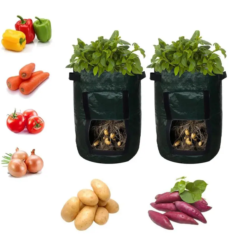 Plant Grow Bag 2PC DIY Potato Grow Planter PE Cloth Planting Container Bag Thicken Garden Pot 10 Gallon dropshipping 18jun7
Plant Grow Bag 2PC DIY Potato Grow Planter PE Cloth Planting Container Bag Thicken Garden Pot 10 Gallon dropshipping 18jun7
