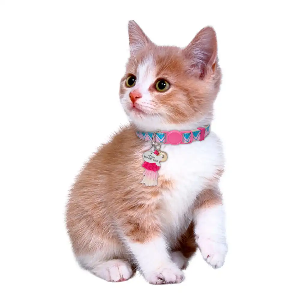 with bell safety adjustable cat collar for small dogs cats