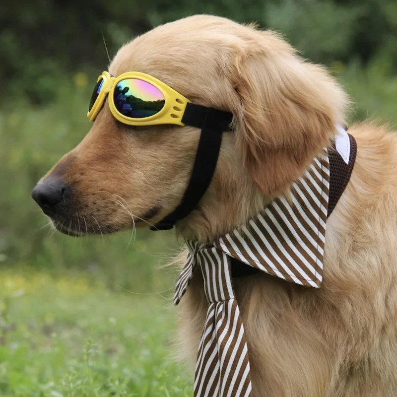 High Fashion Dog Eyes Protection Sunglasses Multi-color Cool Pet Grooming UV Glasses Suit For Dogs Weight Over 6 Kgs
High Fashion Dog Eyes Protection Sunglasses Multi-color Cool Pet Grooming UV Glasses Suit For Dogs Weight Over 6 Kgs
