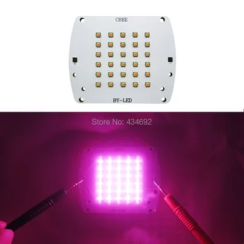 Korea Brand Led Chip 30W 60W 100W Full Spectrum 380NM-840NM Led Grow Light For Hydroponics Garden Flower Plant Light Green house
Korea Brand Led Chip 30W 60W 100W Full Spectrum 380NM-840NM Led Grow Light For Hydroponics Garden Flower Plant Light Green house