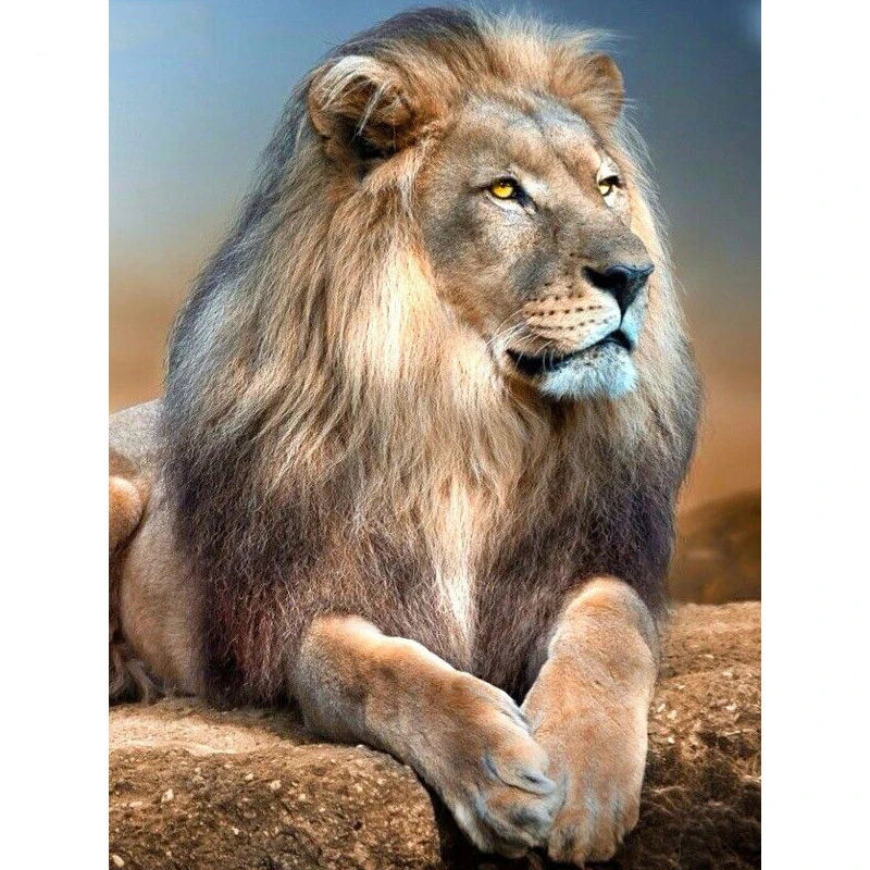 5D DIY Full Square Diamond Painting Cross Stitch Lion on the stone 3D Diamond Embroidery Rhinestone Mosaic Home Decoration
5D DIY Full Square Diamond Painting Cross Stitch Lion on the stone 3D Diamond Embroidery Rhinestone Mosaic Home Decoration