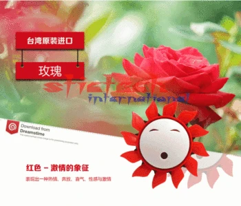 by DHL or Fedex 100pcs car air freshener sun flower outlet whirling perfume lovely styling 4colors for optional
by DHL or Fedex 100pcs car air freshener sun flower outlet whirling perfume lovely styling 4colors for optional