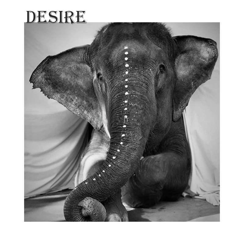 Desire DIY Diamond Painting Cross Stitch Black Elephant Animal Square Drill Mosaic Picture Rhinestone Diamond Embroidery PT1785
Desire DIY Diamond Painting Cross Stitch Black Elephant Animal Square Drill Mosaic Picture Rhinestone Diamond Embroidery PT1785