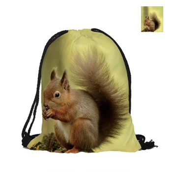 Squirrel Printing Drawstring Bags Backpack Printed With Double Sides For Woman Girl Man School Travel Used
Squirrel Printing Drawstring Bags Backpack Printed With Double Sides For Woman Girl Man School Travel Used