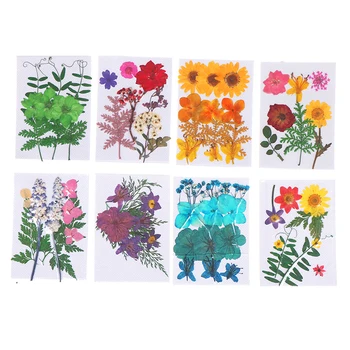 1Box Dried Flowers Leaf UV Resin Decoration Natural Floral Sticker 3D Dry Beauty Nail Art Decals Epoxy Mold DIY Filling Jewelry
1Box Dried Flowers Leaf UV Resin Decoration Natural Floral Sticker 3D Dry Beauty Nail Art Decals Epoxy Mold DIY Filling Jewelry
