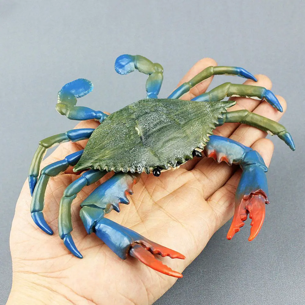 Action Figures Educational Simulation Crab Collection Sea Animal Model Toy Home Decoration Plastic Realistic Crab Model Gifts
Action Figures Educational Simulation Crab Collection Sea Animal Model Toy Home Decoration Plastic Realistic Crab Model Gifts