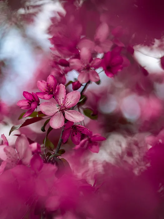photo-1558492281-325a7bb4eee6