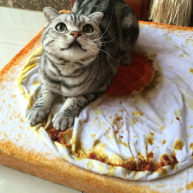 Bread Toast Cat Bed Mat Poached Egg mat Fried Eggs Soft Fleece Puppy Cushion Detachable Wash Small Dog Bed For Chihuahua
Bread Toast Cat Bed Mat Poached Egg mat Fried Eggs Soft Fleece Puppy Cushion Detachable Wash Small Dog Bed For Chihuahua
