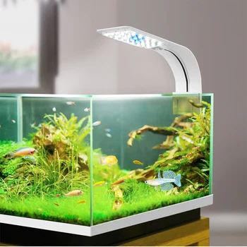 6W 10W 15W Aquatic Plant LED Grow light waterproof 220V EU Aquarium Fish Tank backlight Waterweed Water Grass Seed Grow Lamp
6W 10W 15W Aquatic Plant LED Grow light waterproof 220V EU Aquarium Fish Tank backlight Waterweed Water Grass Seed Grow Lamp