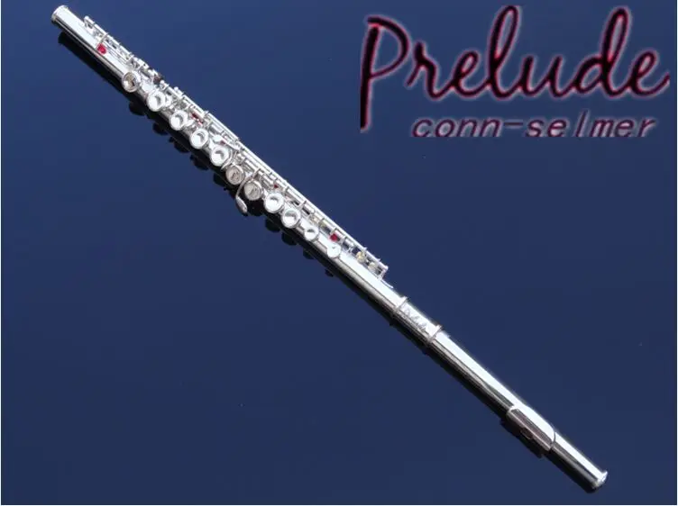 Flute Silver Plated 16 Holes C Tune and E-Key Flute music professional Woodwind Instrument with Cleaning Cloth Stick Bag
Flute Silver Plated 16 Holes C Tune and E-Key Flute music professional Woodwind Instrument with Cleaning Cloth Stick Bag